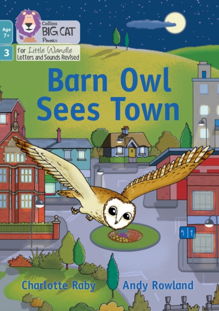 Barn Owl Sees Town : Phase 3 Set 1 Blending Practice, Paperback / softback Book