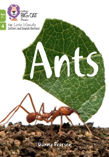 Ants : Phase 4 Set 2, Paperback / softback Book