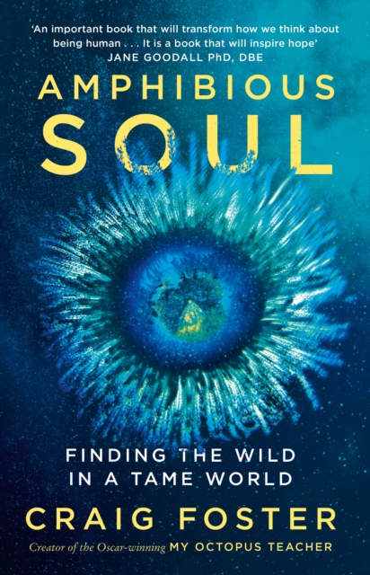 Amphibious Soul : Finding the wild in a tame world, EPUB eBook