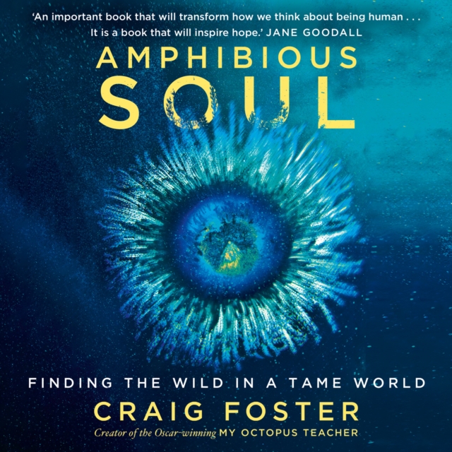 Amphibious Soul : Finding the wild in a tame world, eAudiobook MP3 eaudioBook