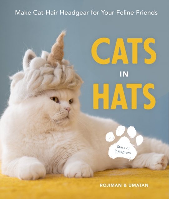Cats in Hats : Make Cat-Hair Headgear for Your Feline Friends, Hardback Book