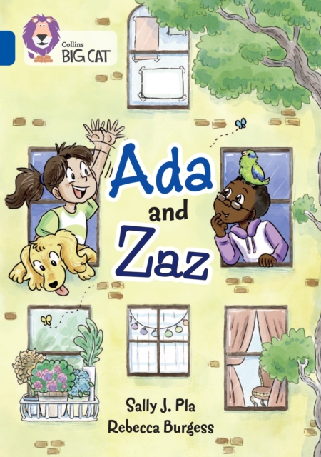 Ada and Zaz : Band 16/Sapphire, Paperback / softback Book