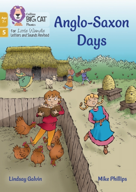 Anglo-Saxon Days : Phase 5 Set 5, Paperback / softback Book