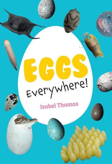 Eggs Everywhere!, Paperback / softback Book
