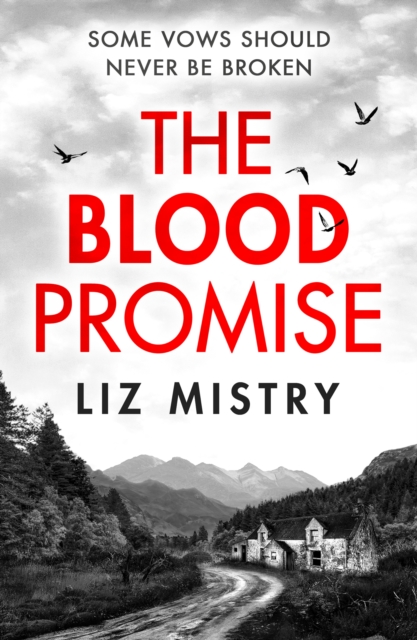 The Blood Promise, Paperback / softback Book