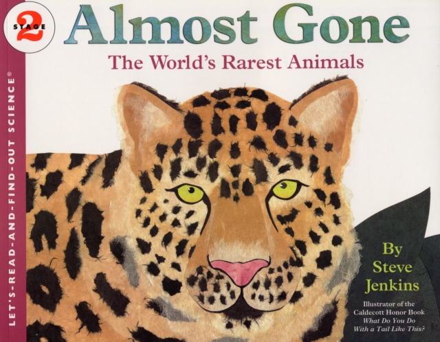 Almost Gone : The World's Rarest Animals, Paperback / softback Book