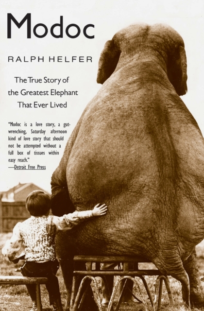 Modoc : The True Story of the Greatest Elephant That Ever Lived, Paperback / softback Book