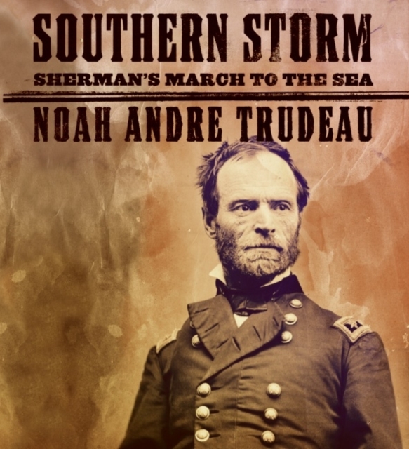 Southern Storm : Sherman's March to the Sea, eAudiobook MP3 eaudioBook