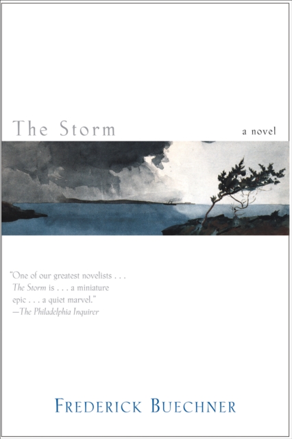 The Storm : A Novel, EPUB eBook
