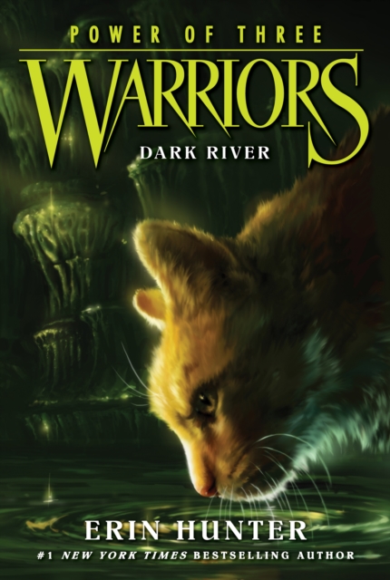Warriors: Power of Three #2: Dark River, EPUB eBook