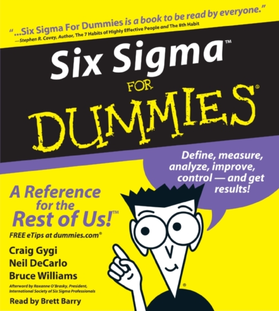 Six Sigma For Dummies, eAudiobook MP3 eaudioBook