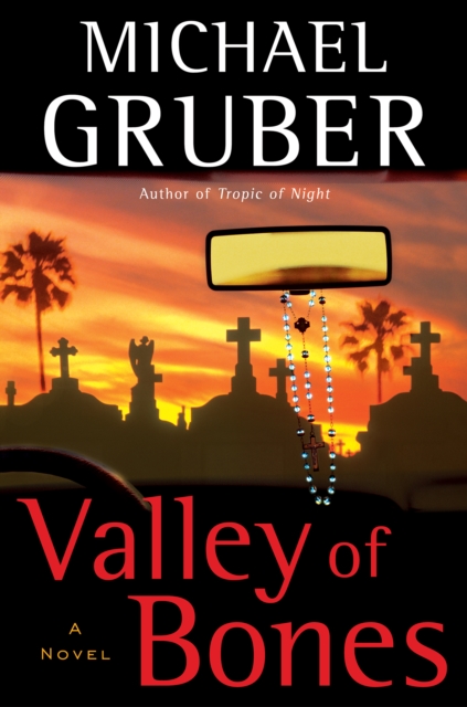 Valley of Bones : A Novel, EPUB eBook