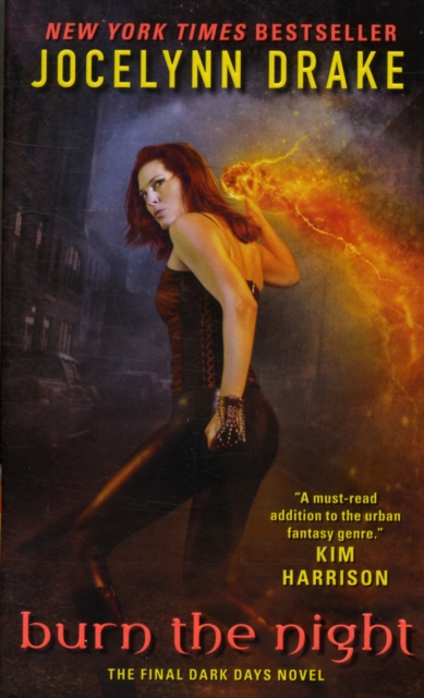 Burn the Night : The Final Dark Days Novel, Paperback / softback Book