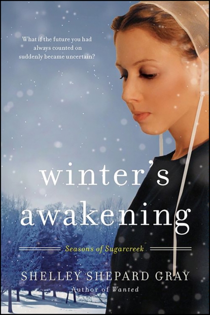 Winter's Awakening : Seasons of Sugarcreek, Book One, EPUB eBook