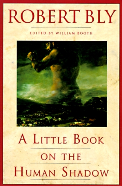 A Little Book on the Human Shadow, EPUB eBook