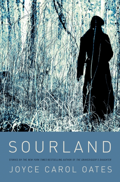 Sourland : Stories, EPUB eBook