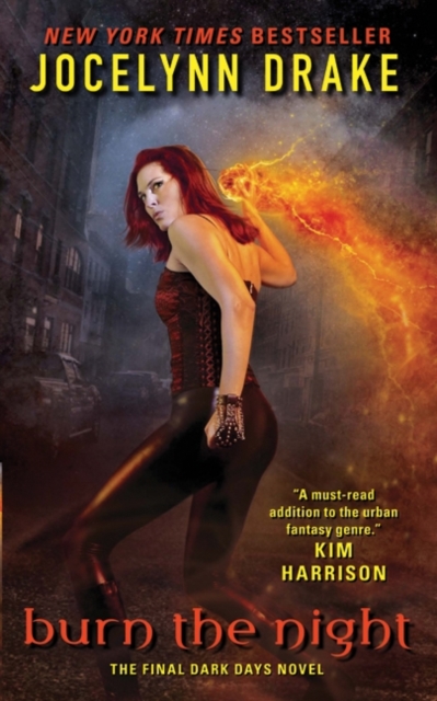Burn the Night : The Final Dark Days Novel, EPUB eBook