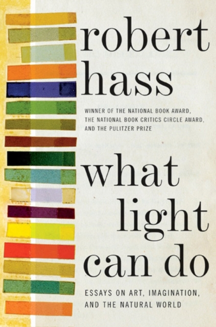 What Light Can Do : Essays on Art, Imagination, and the Natural World, EPUB eBook