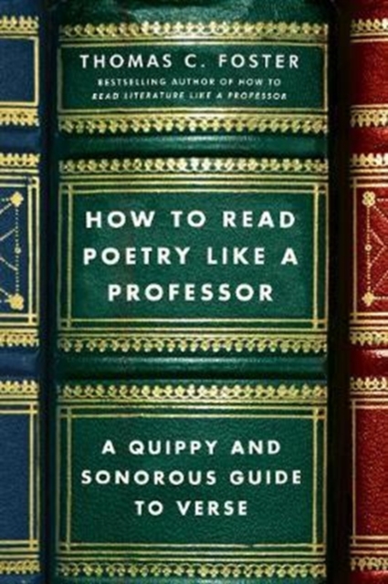 How to Read Poetry Like a Professor : A Quippy and Sonorous Guide to Verse, Paperback / softback Book