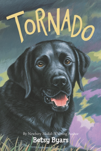 Tornado, EPUB eBook