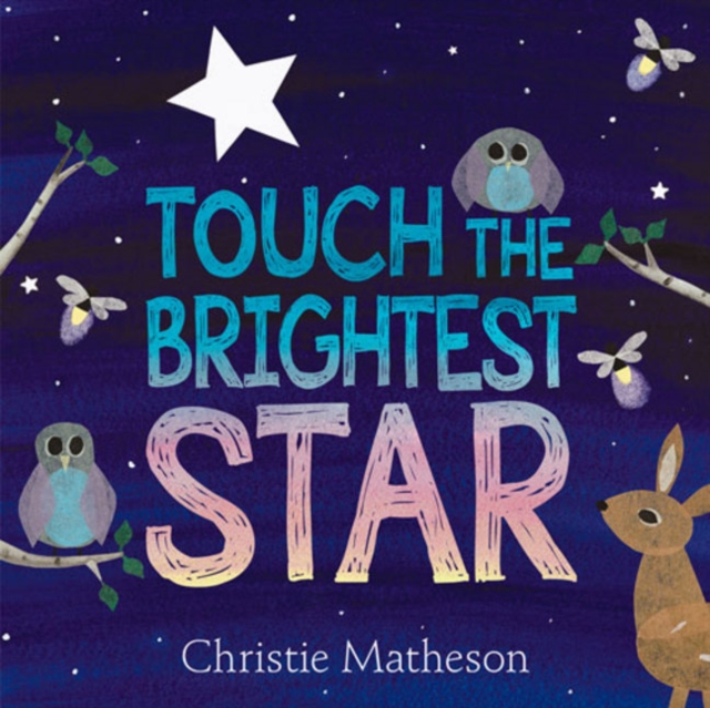 Touch the Brightest Star, Hardback Book