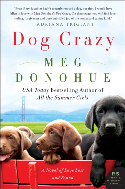Dog Crazy : A Novel of Love Lost and Found, EPUB eBook