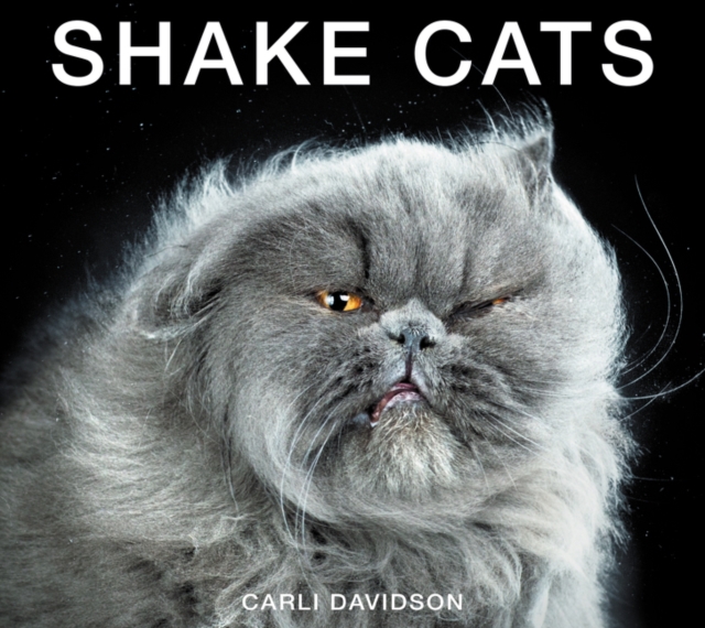 Shake Cats, Hardback Book