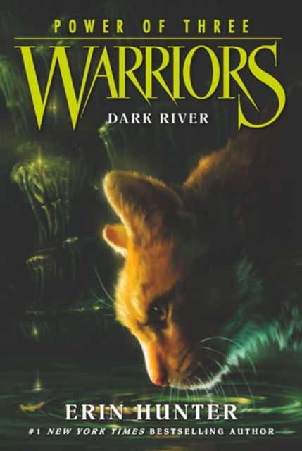 Warriors: Power of Three #2: Dark River, Paperback / softback Book
