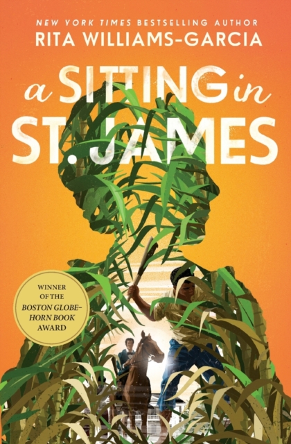 A Sitting in St. James, Paperback / softback Book