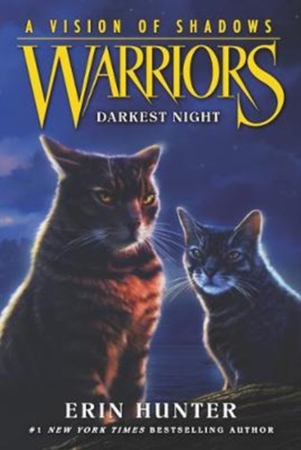Warriors: A Vision of Shadows #4: Darkest Night, Paperback / softback Book