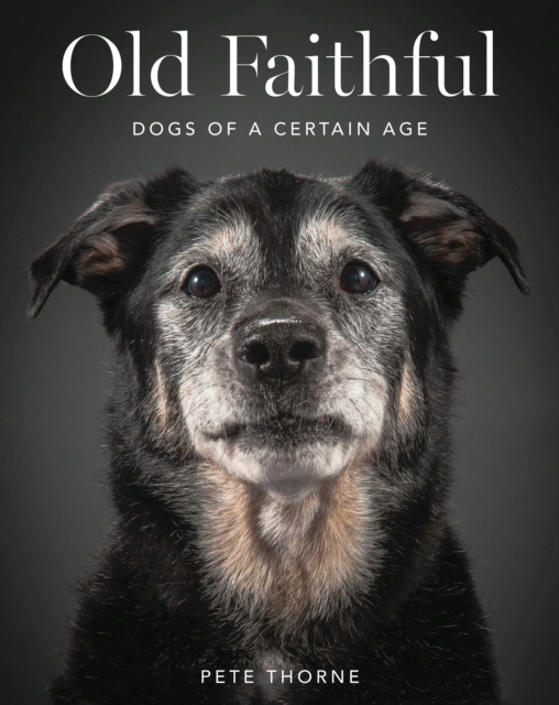 Old Faithful : Dogs of a Certain Age, EPUB eBook