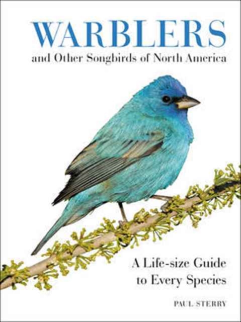 Warblers and Other Songbirds of North America : A Life-size Guide to Every Species, Hardback Book