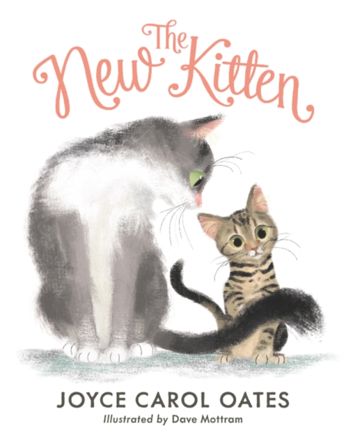 The New Kitten, Hardback Book