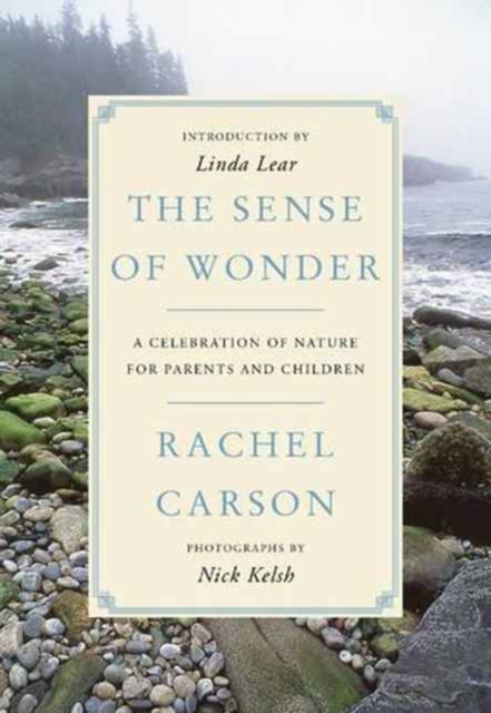 The Sense of Wonder : A Celebration of Nature for Parents and Children, Paperback / softback Book