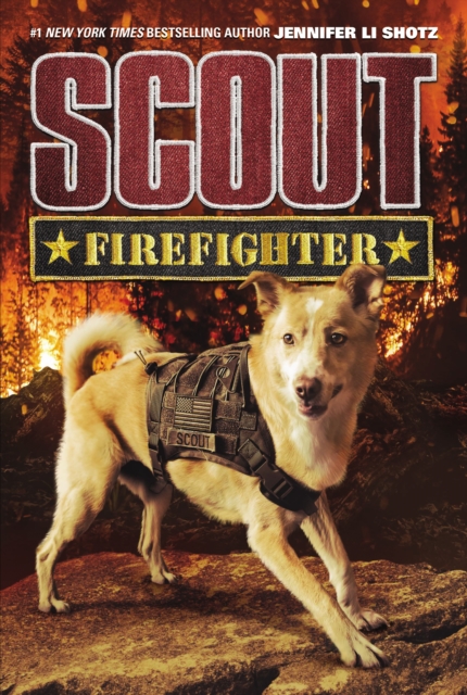 Scout: Firefighter, EPUB eBook