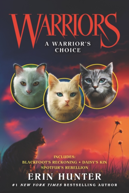 Warriors: A Warrior's Choice, Paperback / softback Book