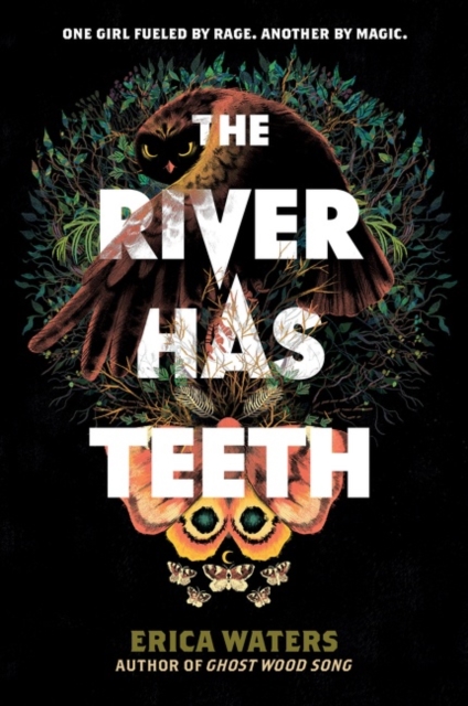 The River Has Teeth, Paperback / softback Book