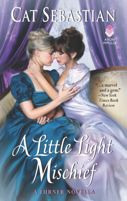 A Little Light Mischief : A Turner Novella, EPUB eBook