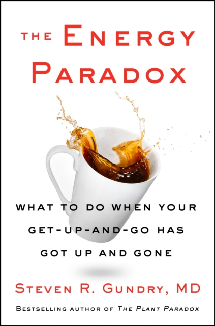 The Energy Paradox : What to Do When Your Get-Up-and-Go Has Got Up and Gone, EPUB eBook