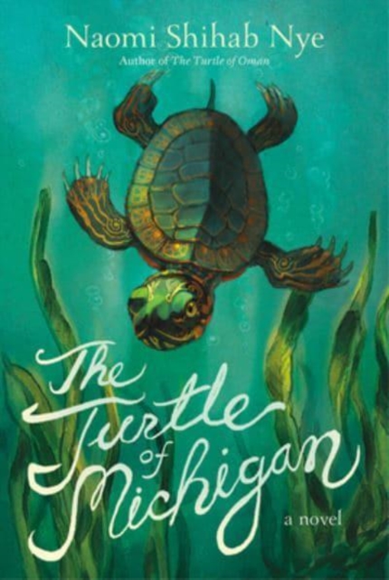 The Turtle of Michigan : A Novel, Paperback / softback Book