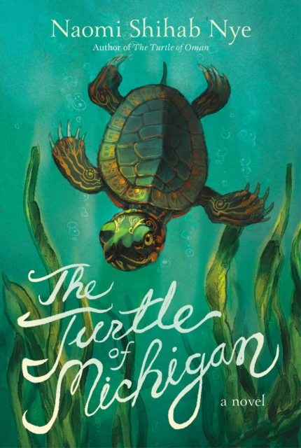 The Turtle of Michigan : A Novel, EPUB eBook