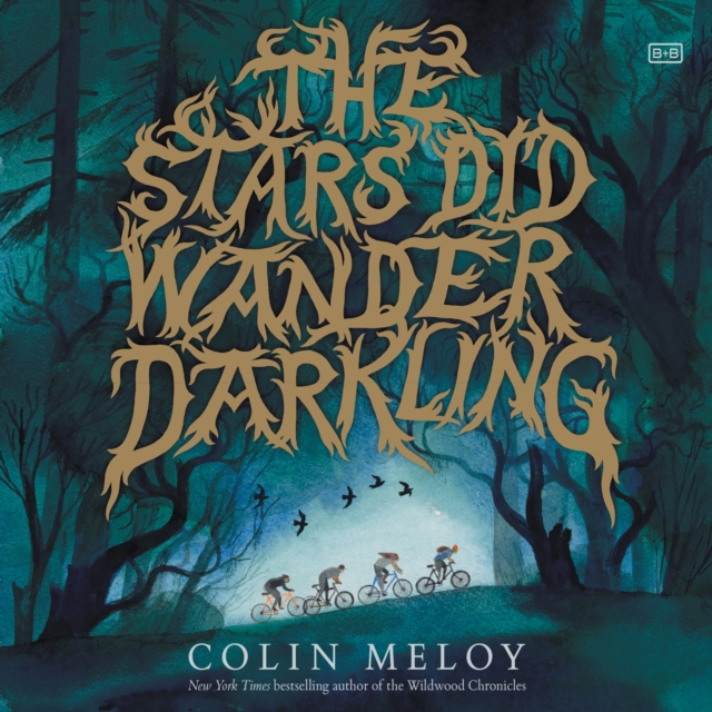 The Stars Did Wander Darkling, eAudiobook MP3 eaudioBook