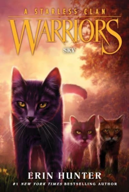 Warriors: A Starless Clan #2: Sky, Paperback / softback Book