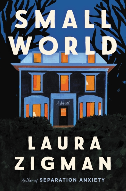 Small World : A Novel, EPUB eBook