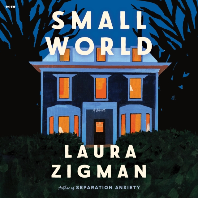 Small World : A Novel, eAudiobook MP3 eaudioBook