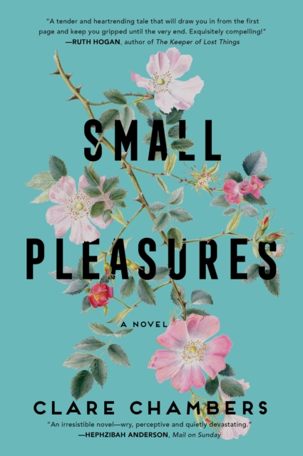 Small Pleasures : A Novel, EPUB eBook