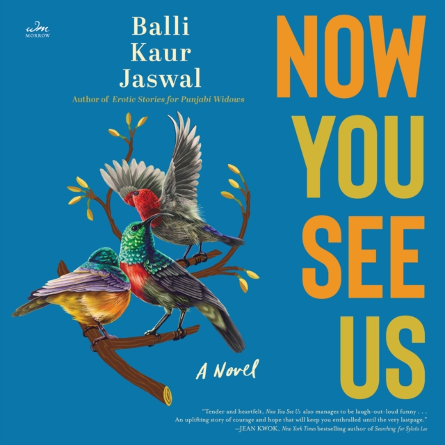 Now You See Us : A Novel, eAudiobook MP3 eaudioBook