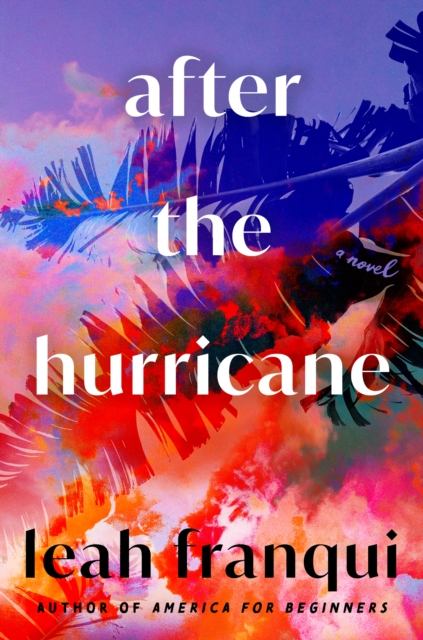 After the Hurricane : A Novel, EPUB eBook