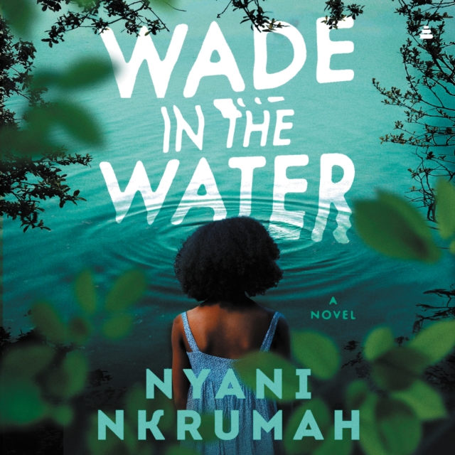 Wade in the Water : A Novel, eAudiobook MP3 eaudioBook