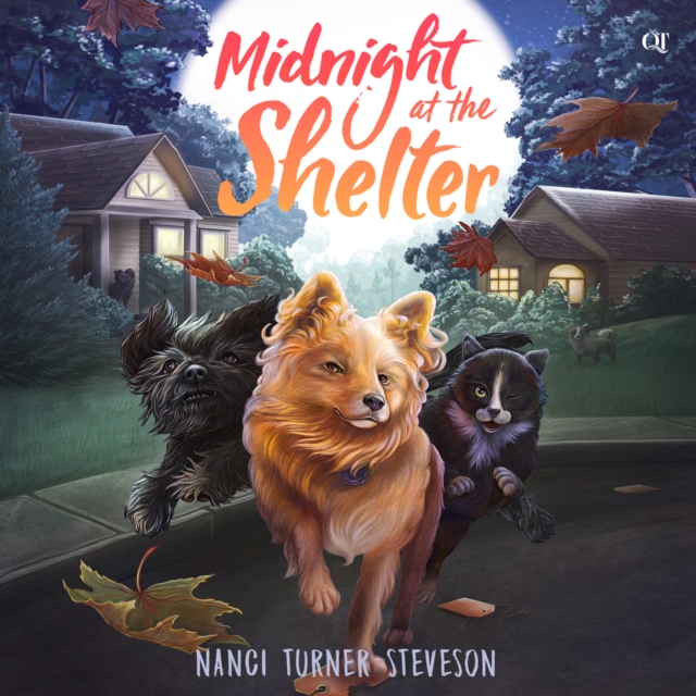 Midnight at the Shelter, eAudiobook MP3 eaudioBook